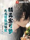 精灵宝可梦:火龙冠位训练家