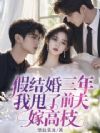 假结婚三年,我甩了前夫嫁高枝